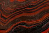 Polished Tiger Iron Stromatolite - Billion Years #129451-1